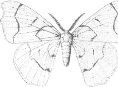 爱游戏体育平台 -关于{?蟥k鹼亽傧屼f邫Hz??龅的信息