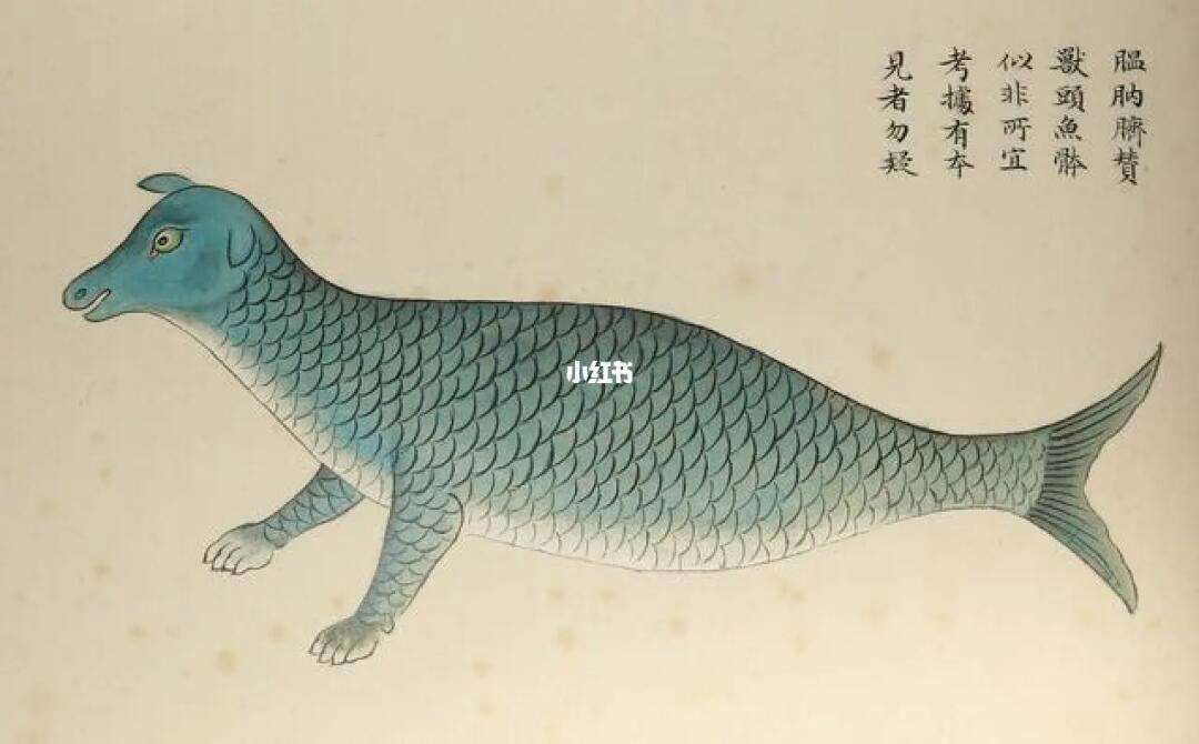 爱游戏入口 -胂€ 